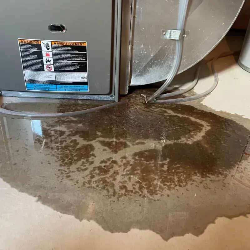 Appliance Leak Cleanup in White River Junction, VT